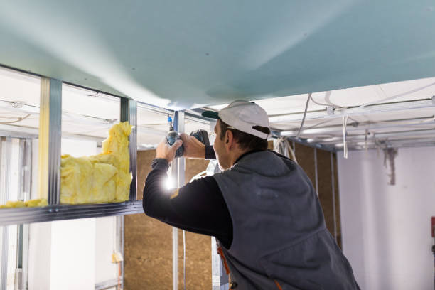 Best Insulation Contractor Near Me  in Round Lake Beach, IL