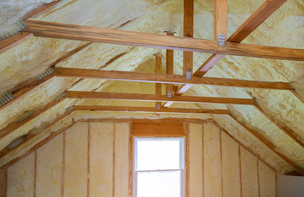 Best Insulation Contractor Near Me  in Round Lake Beach, IL