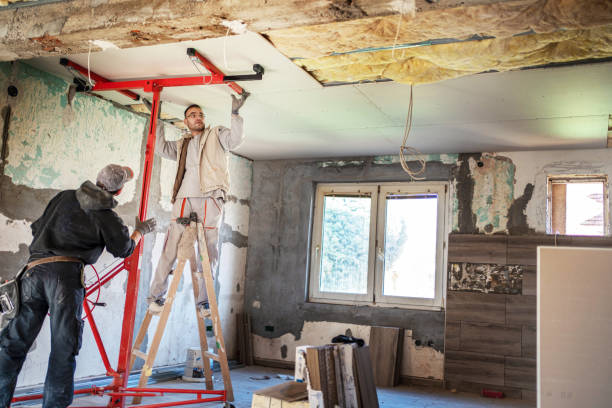 Best Cellulose Insulation  in Round Lake Beach, IL