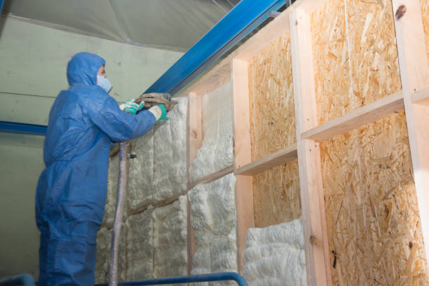 Best Professional Insulation Contractor  in Round Lake Beach, IL