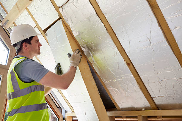 Best Spray Foam Insulation  in Round Lake Beach, IL