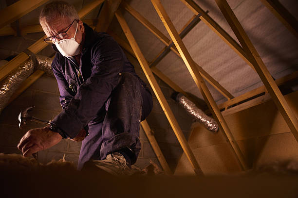 Best Fiberglass Insulation  in Round Lake Beach, IL